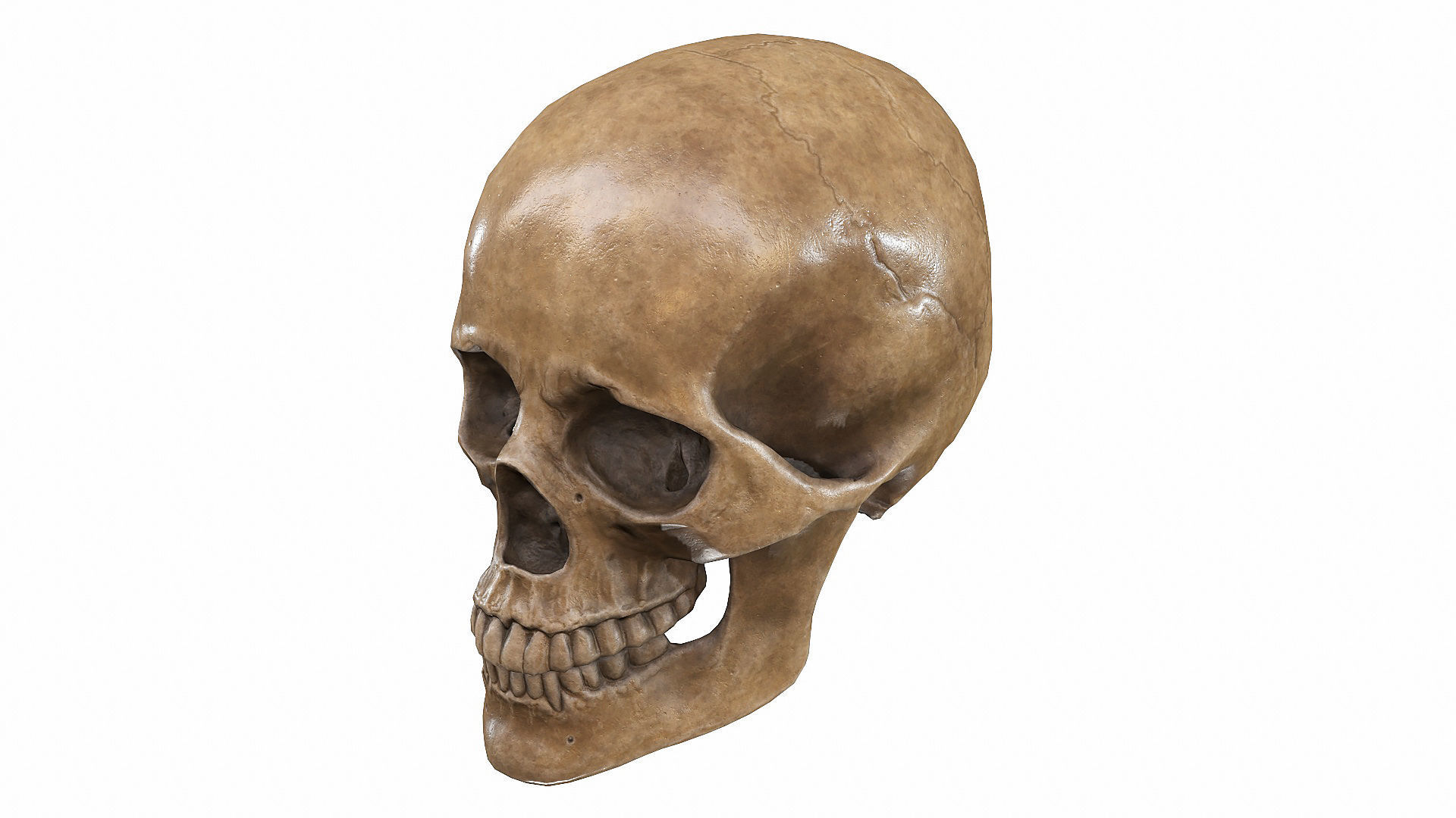 Skull LOW-POLY metal Low-poly 3D model_100
