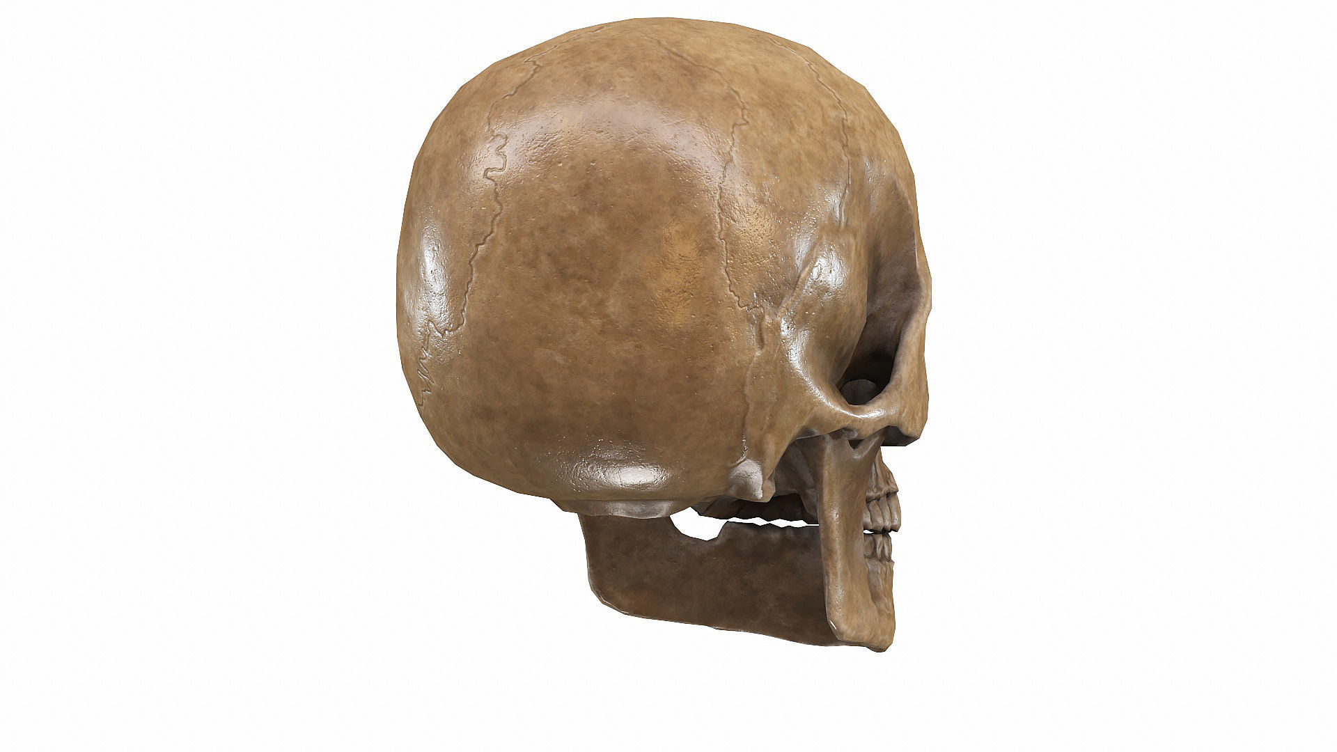 Skull LOW-POLY metal Low-poly 3D model_7