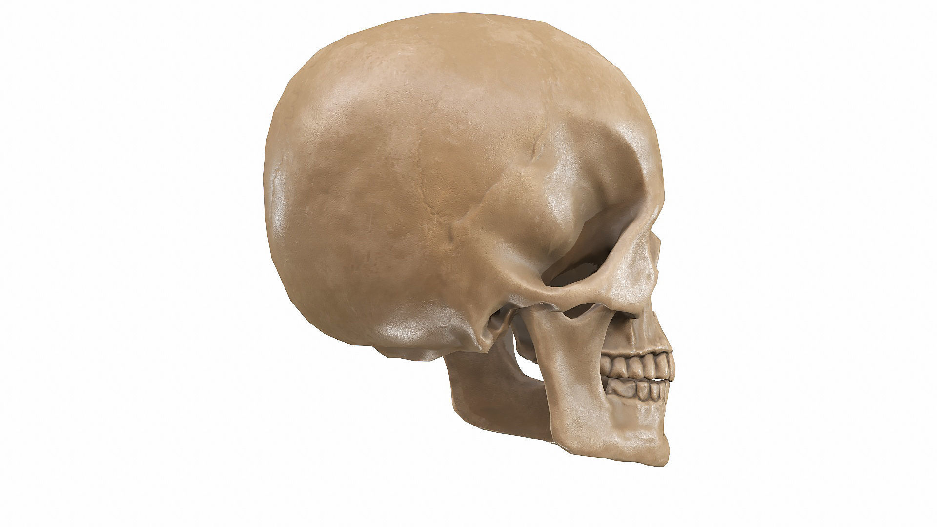 Skull LOW-POLY metal Low-poly 3D model_73
