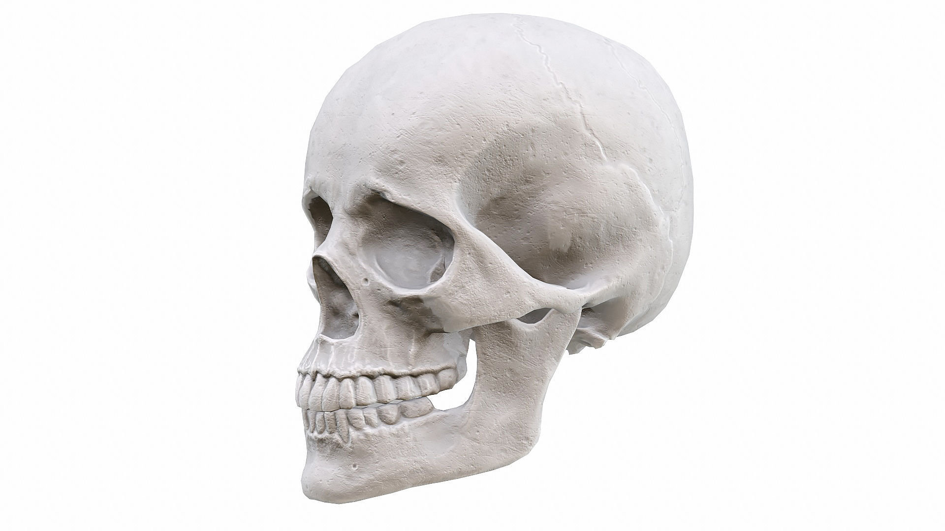 Skull LOW-POLY metal Low-poly 3D model_48