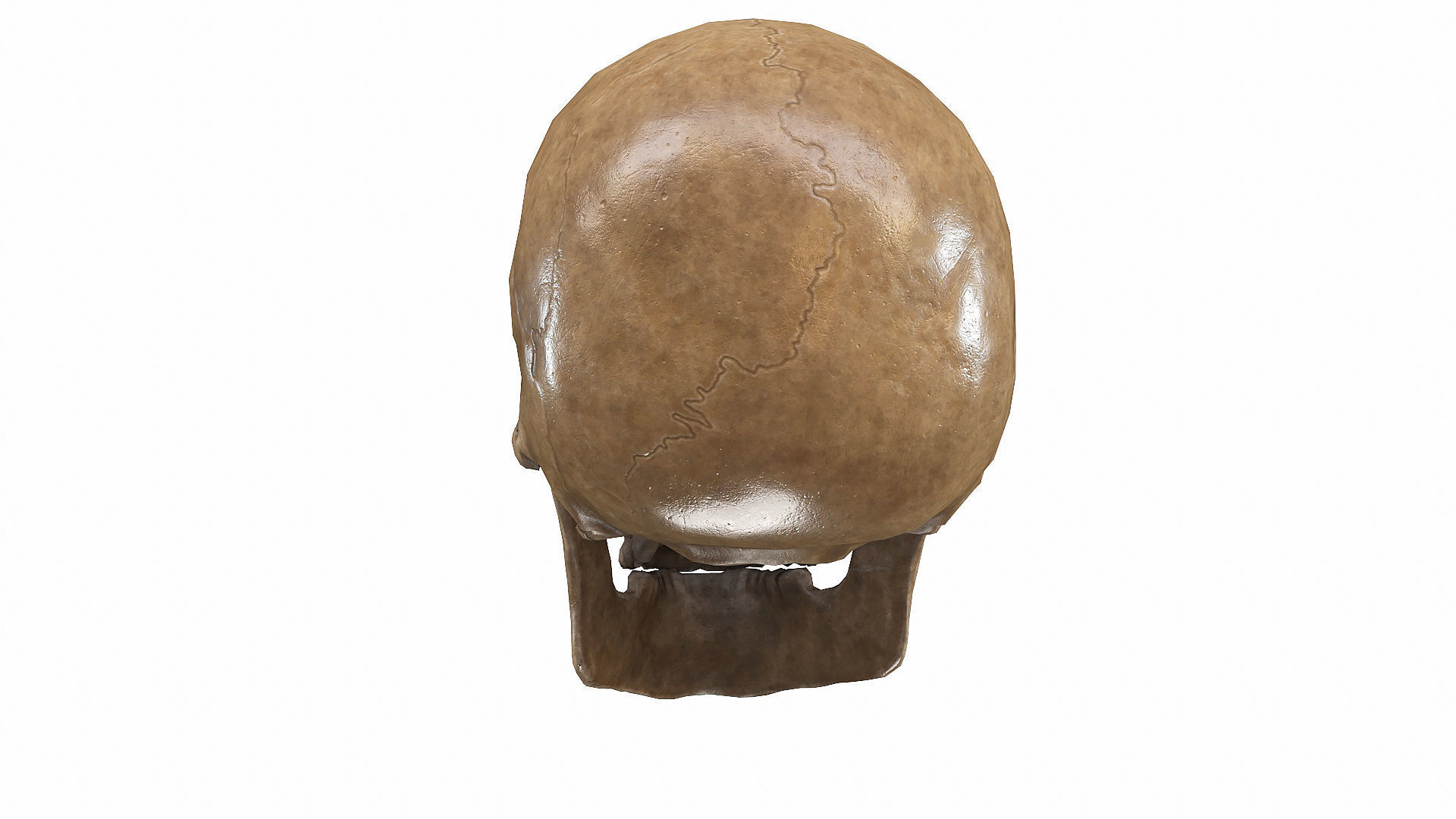 Skull LOW-POLY metal Low-poly 3D model_9