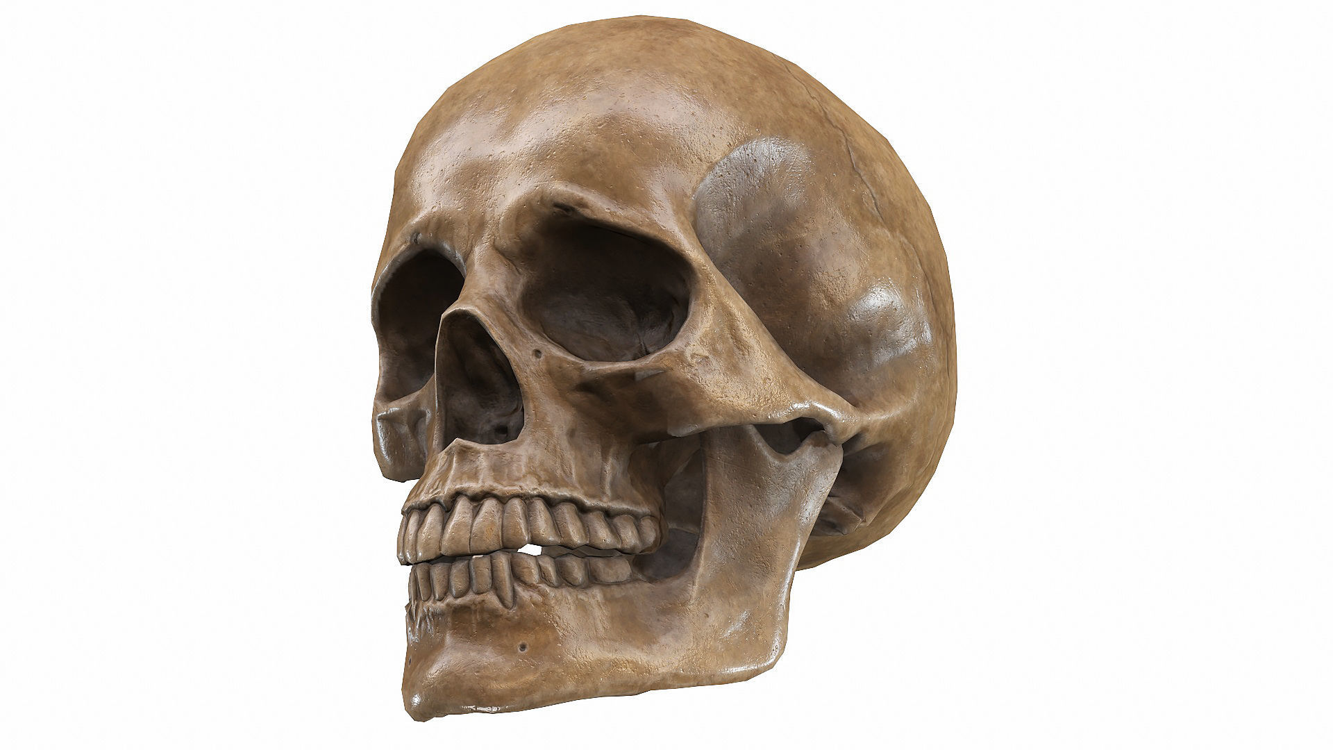 Skull LOW-POLY metal Low-poly 3D model_98