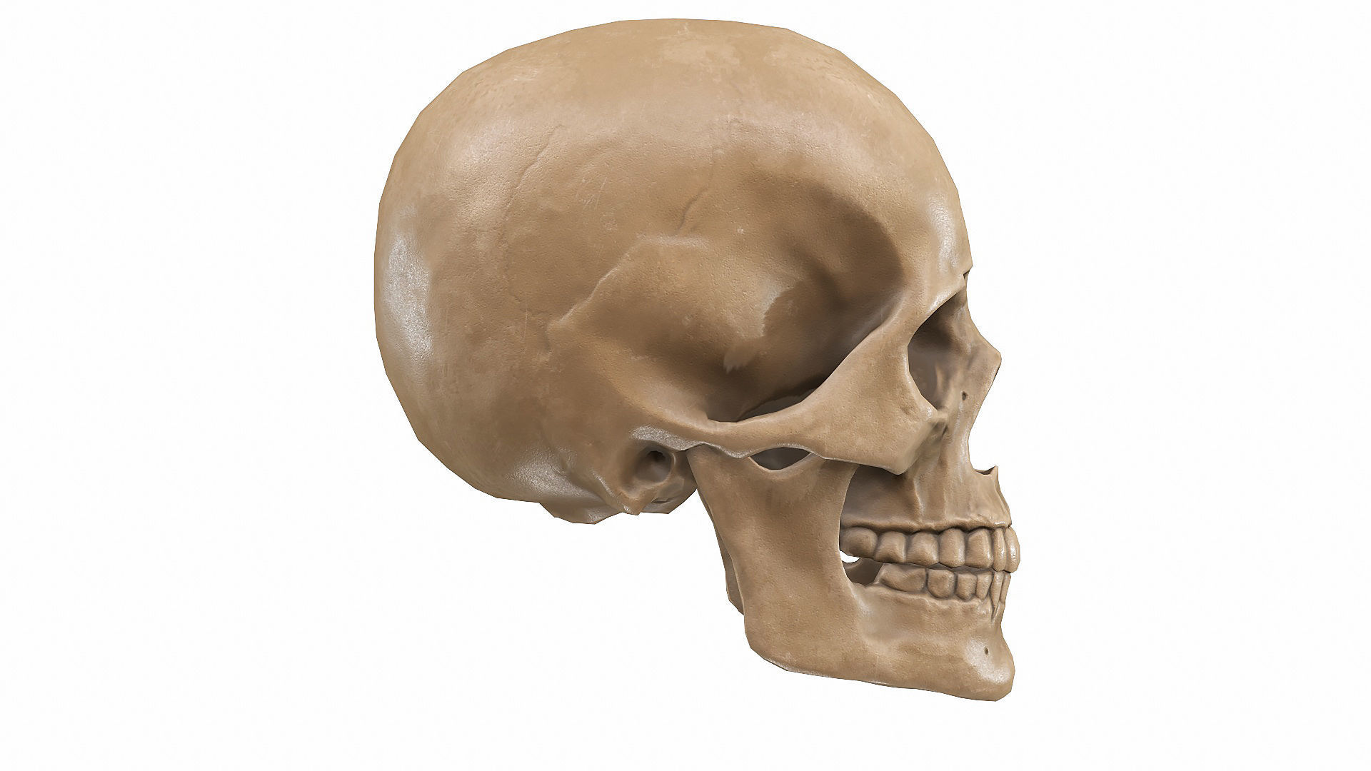 Skull LOW-POLY metal Low-poly 3D model_76