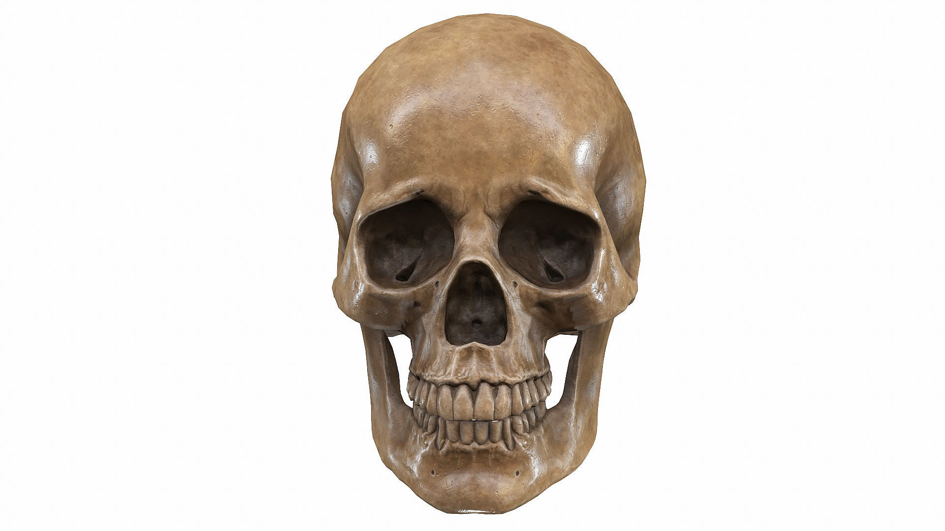 Skull LOW-POLY metal Low-poly 3D model_13