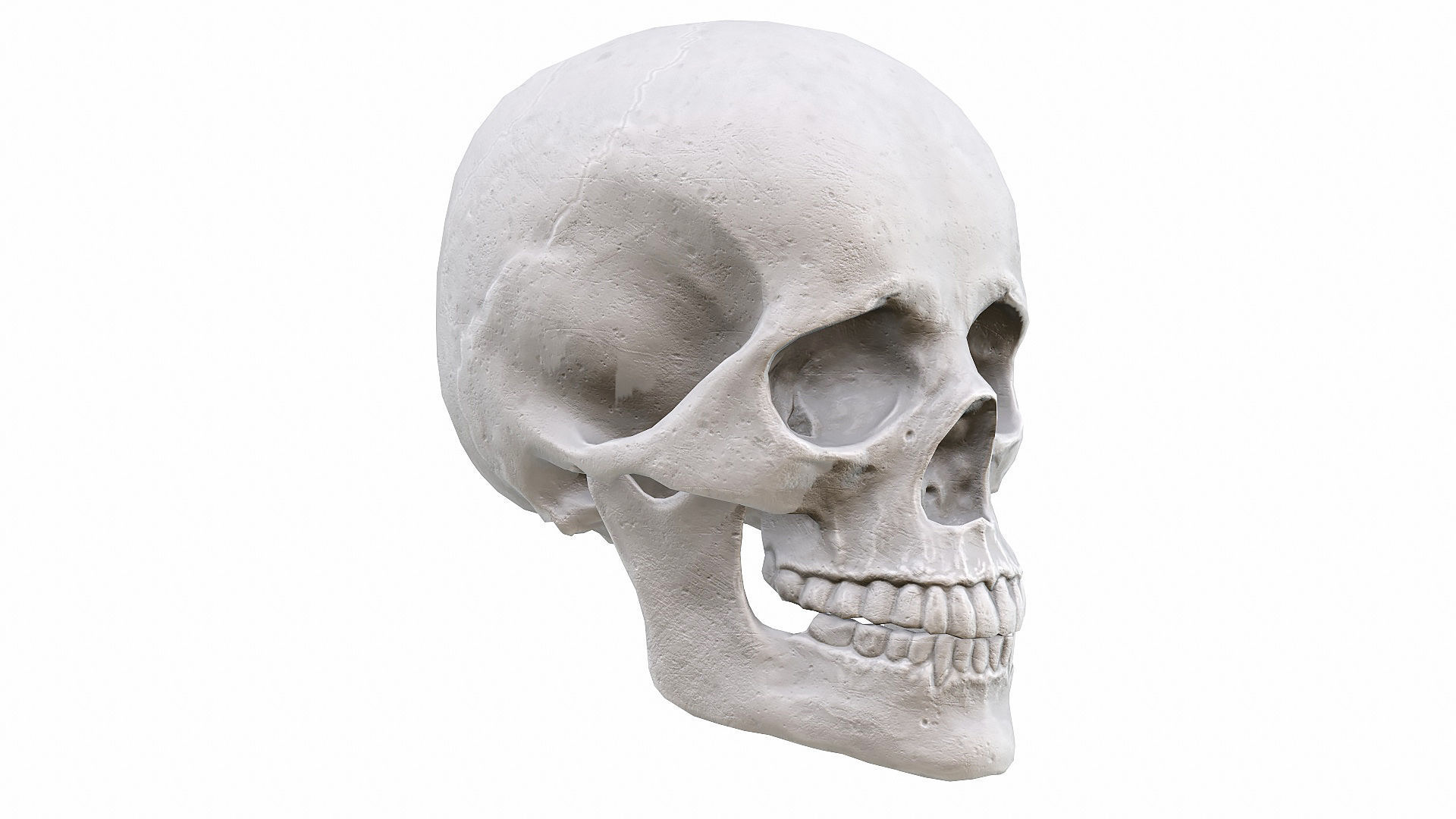 Skull LOW-POLY metal Low-poly 3D model_60