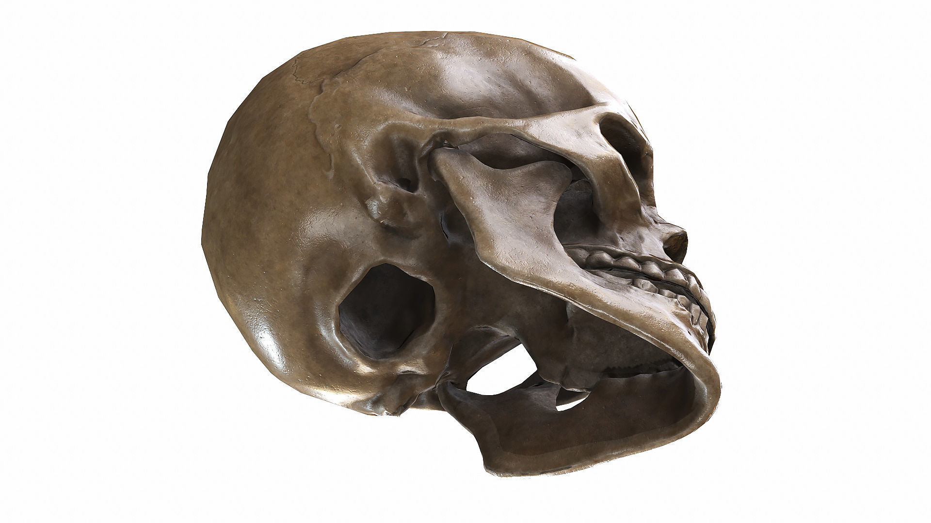 Skull LOW-POLY metal Low-poly 3D model_95