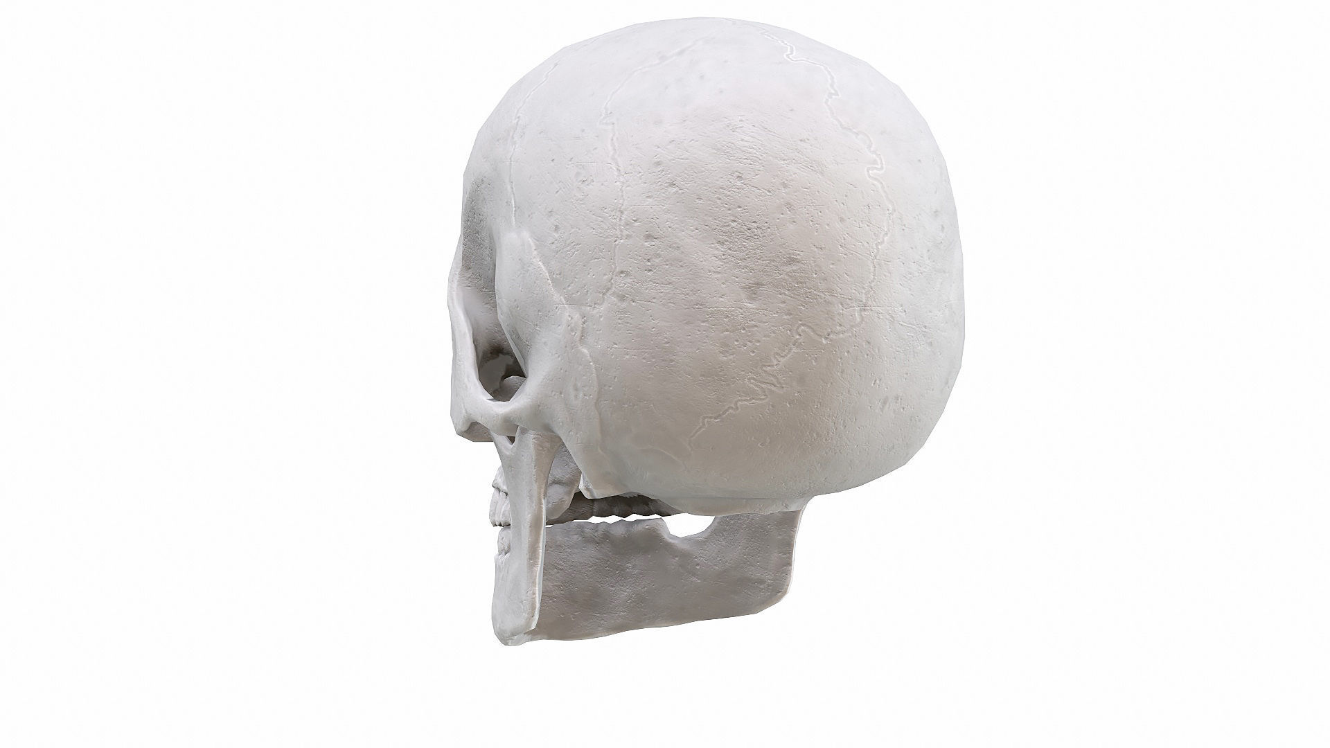 Skull LOW-POLY metal Low-poly 3D model_55