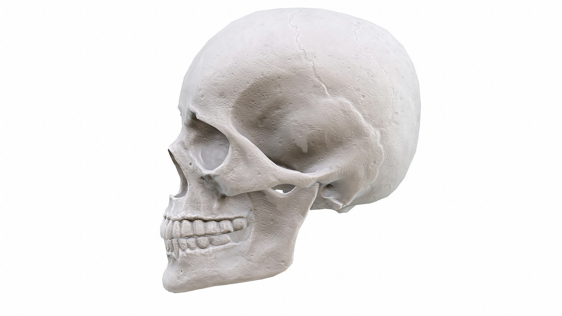 Skull LOW-POLY metal Low-poly 3D model_38