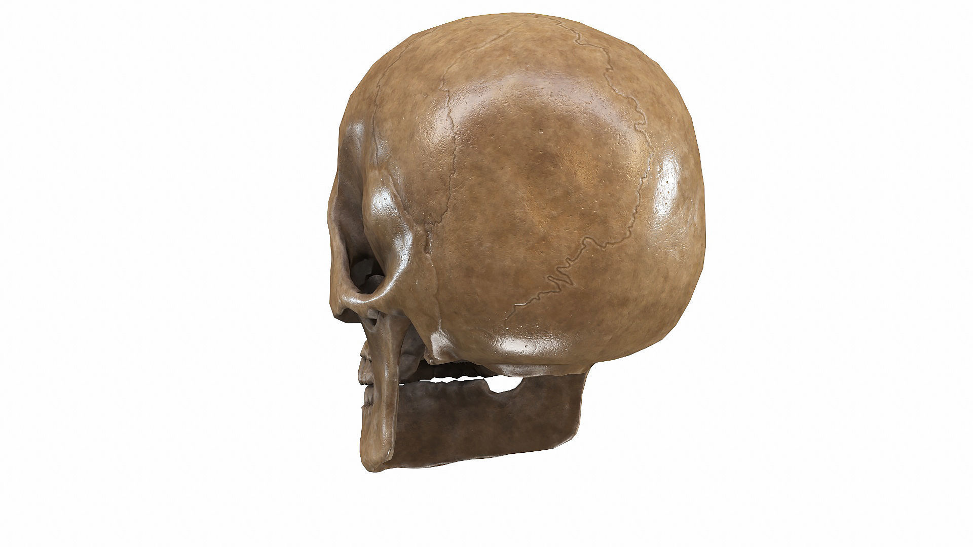 Skull LOW-POLY metal Low-poly 3D model_18