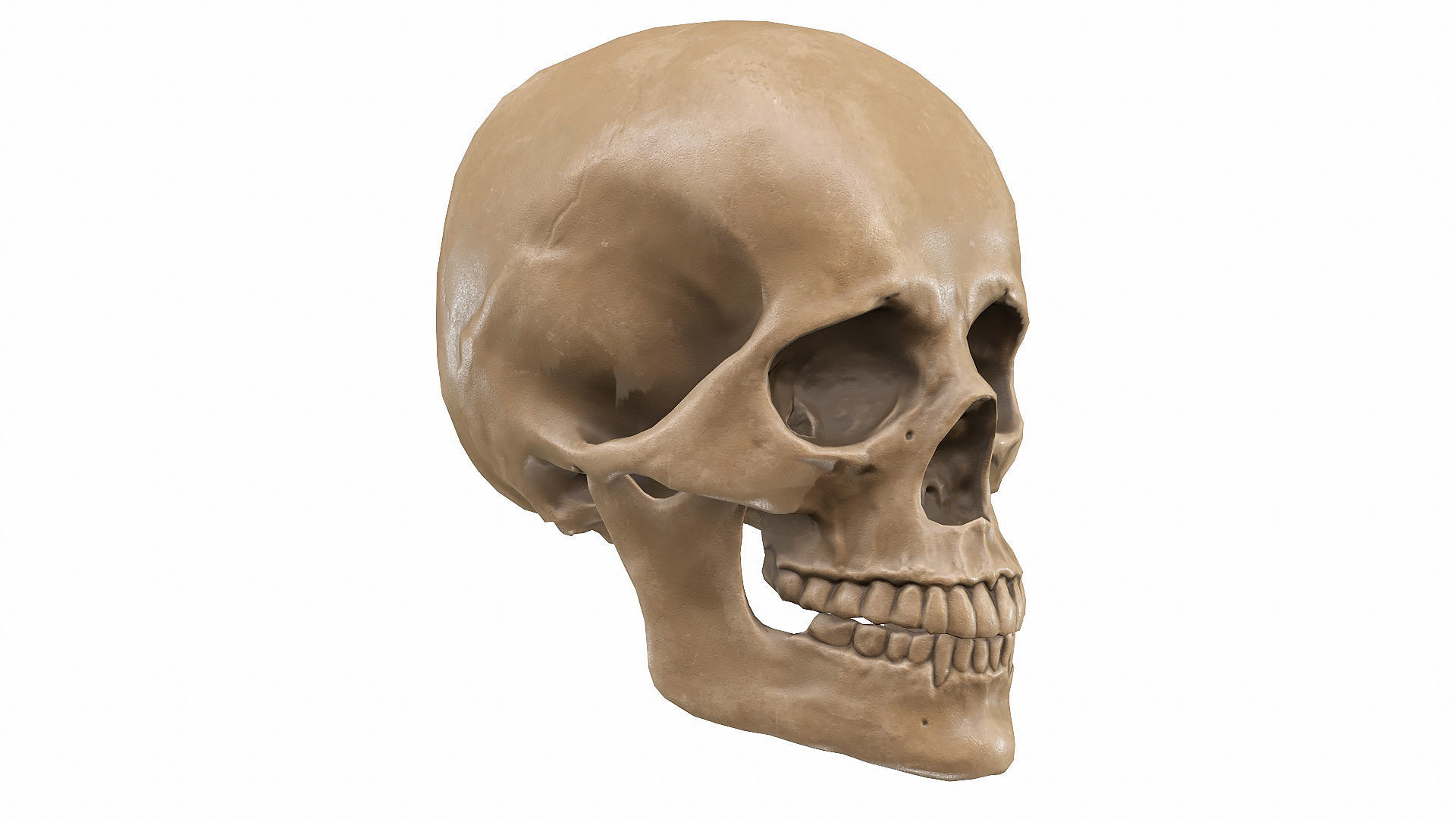 Skull LOW-POLY metal Low-poly 3D model_74