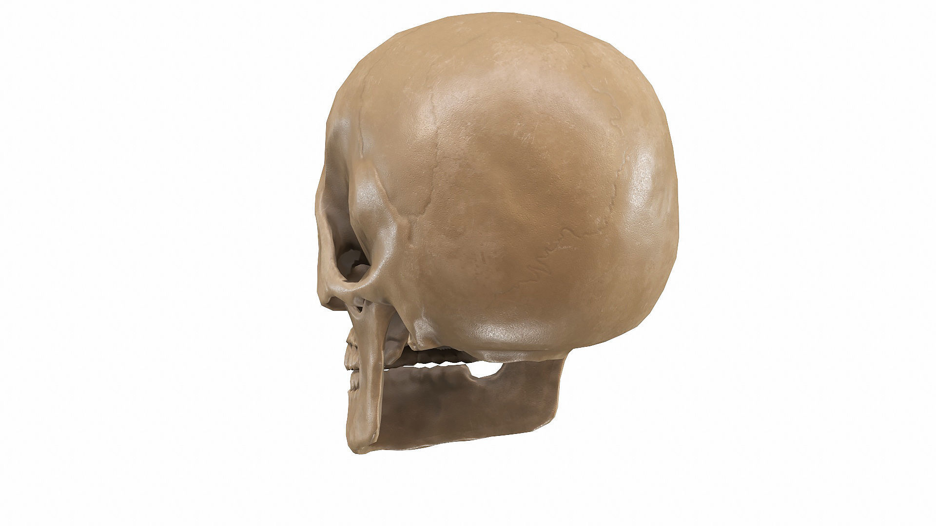 Skull LOW-POLY metal Low-poly 3D model_68
