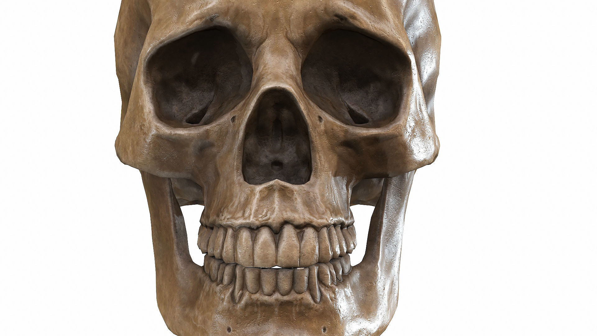 Skull LOW-POLY metal Low-poly 3D model_97
