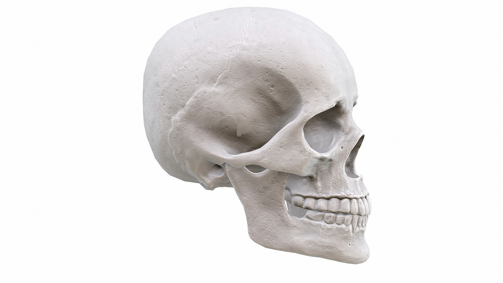 Skull LOW-POLY metal Low-poly 3D model_87