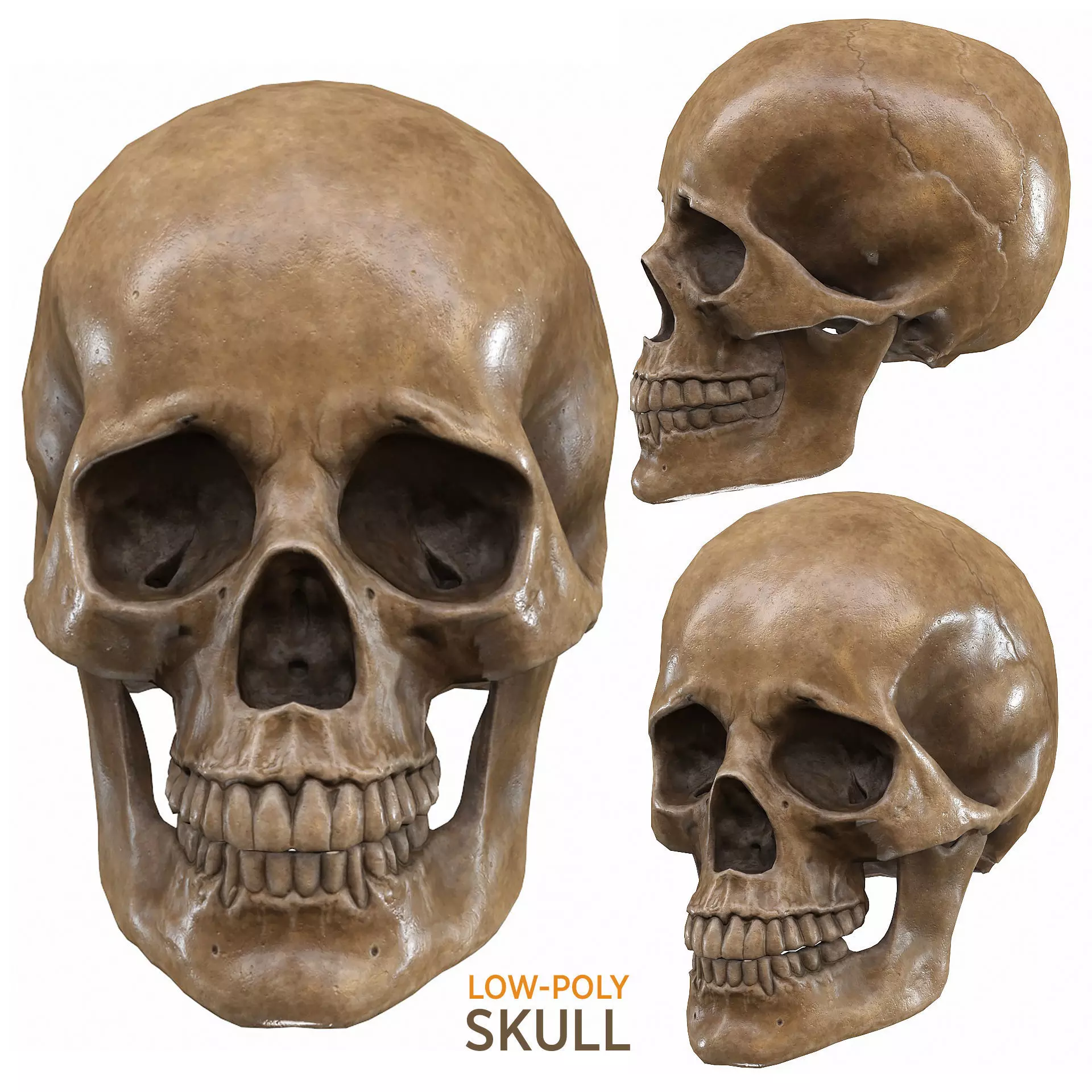 Skull LOW-POLY metal Low-poly 3D model_0
