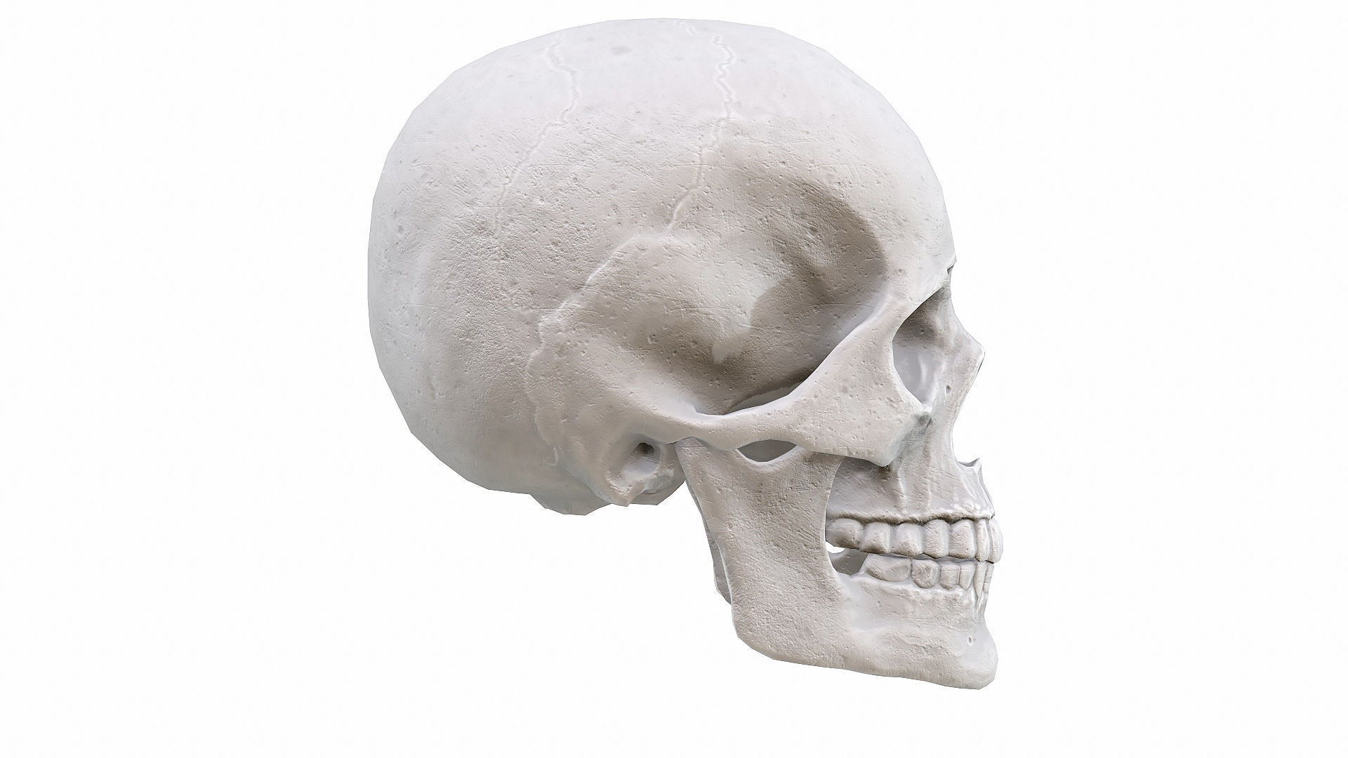 Skull LOW-POLY metal Low-poly 3D model_58