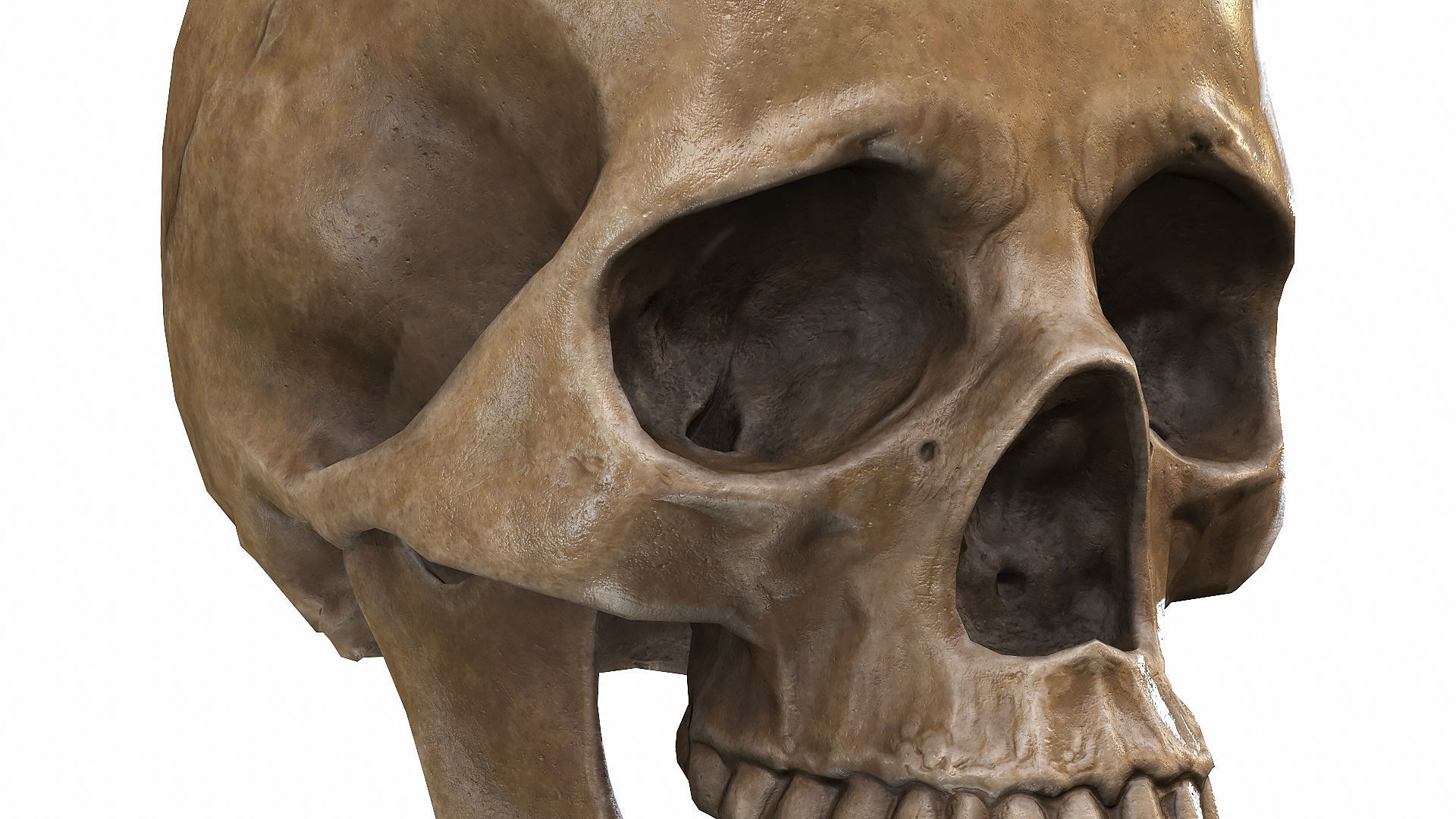 Skull LOW-POLY metal Low-poly 3D model_88