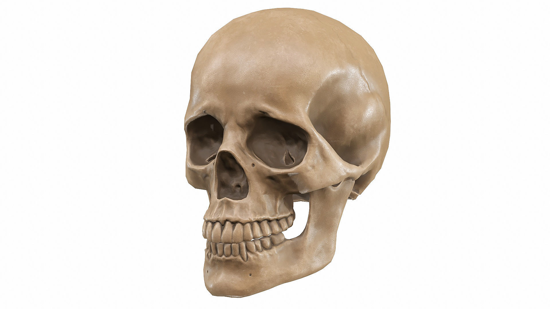 Skull LOW-POLY metal Low-poly 3D model_66