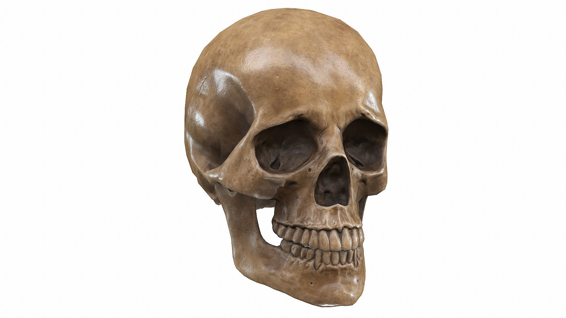 Skull LOW-POLY metal Low-poly 3D model_11