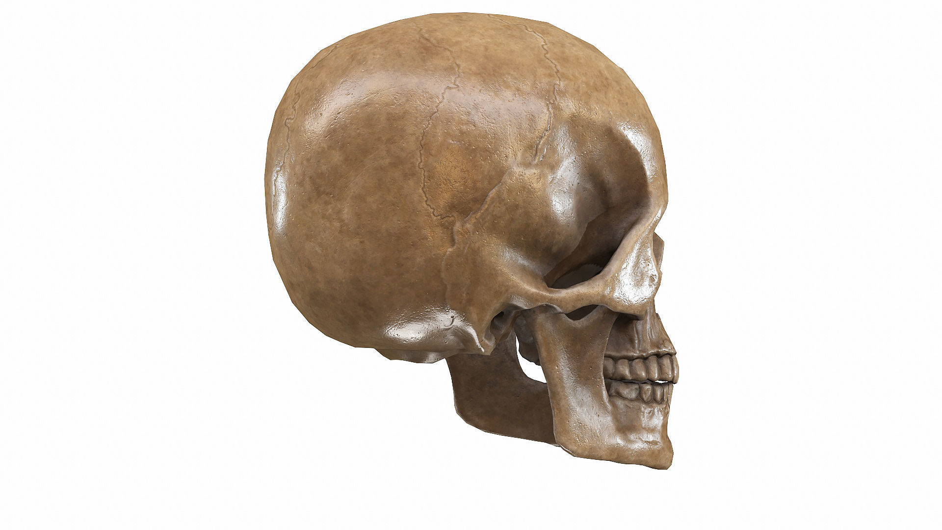 Skull LOW-POLY metal Low-poly 3D model_19