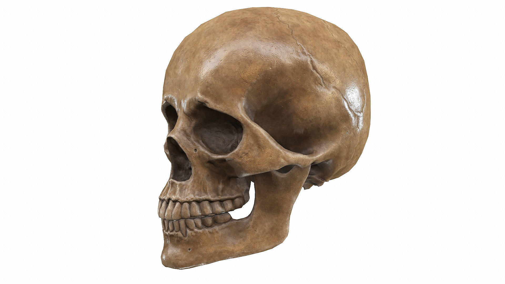 Skull LOW-POLY metal Low-poly 3D model_3