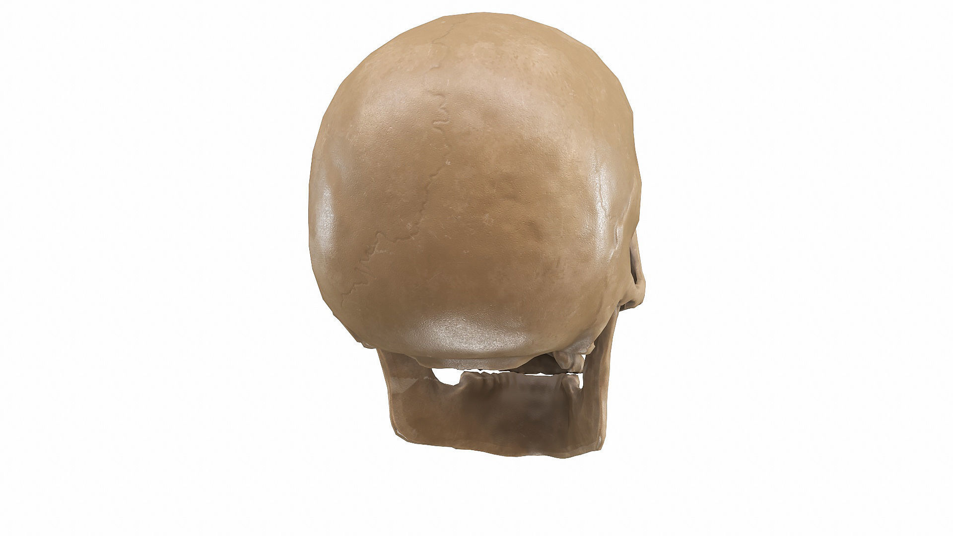 Skull LOW-POLY metal Low-poly 3D model_77