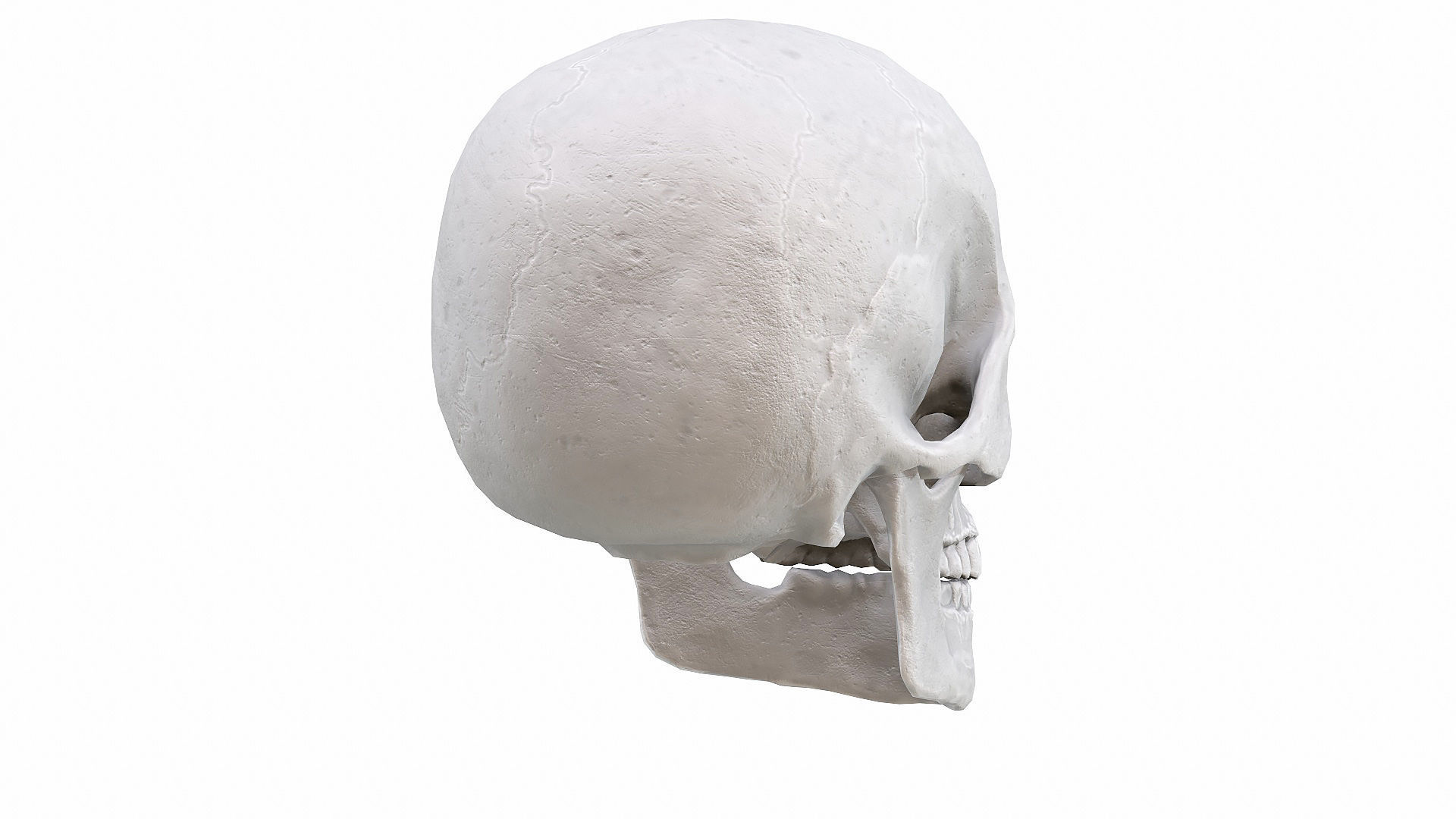 Skull LOW-POLY metal Low-poly 3D model_61