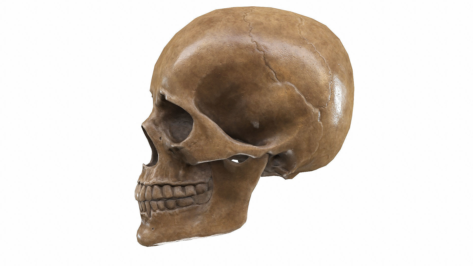Skull LOW-POLY metal Low-poly 3D model_4