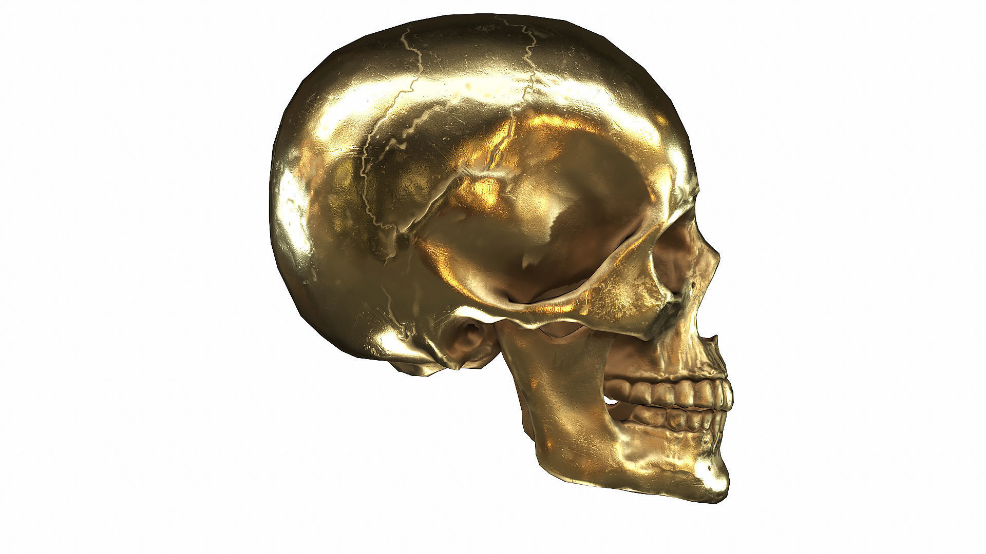 Skull LOW-POLY metal Low-poly 3D model_65