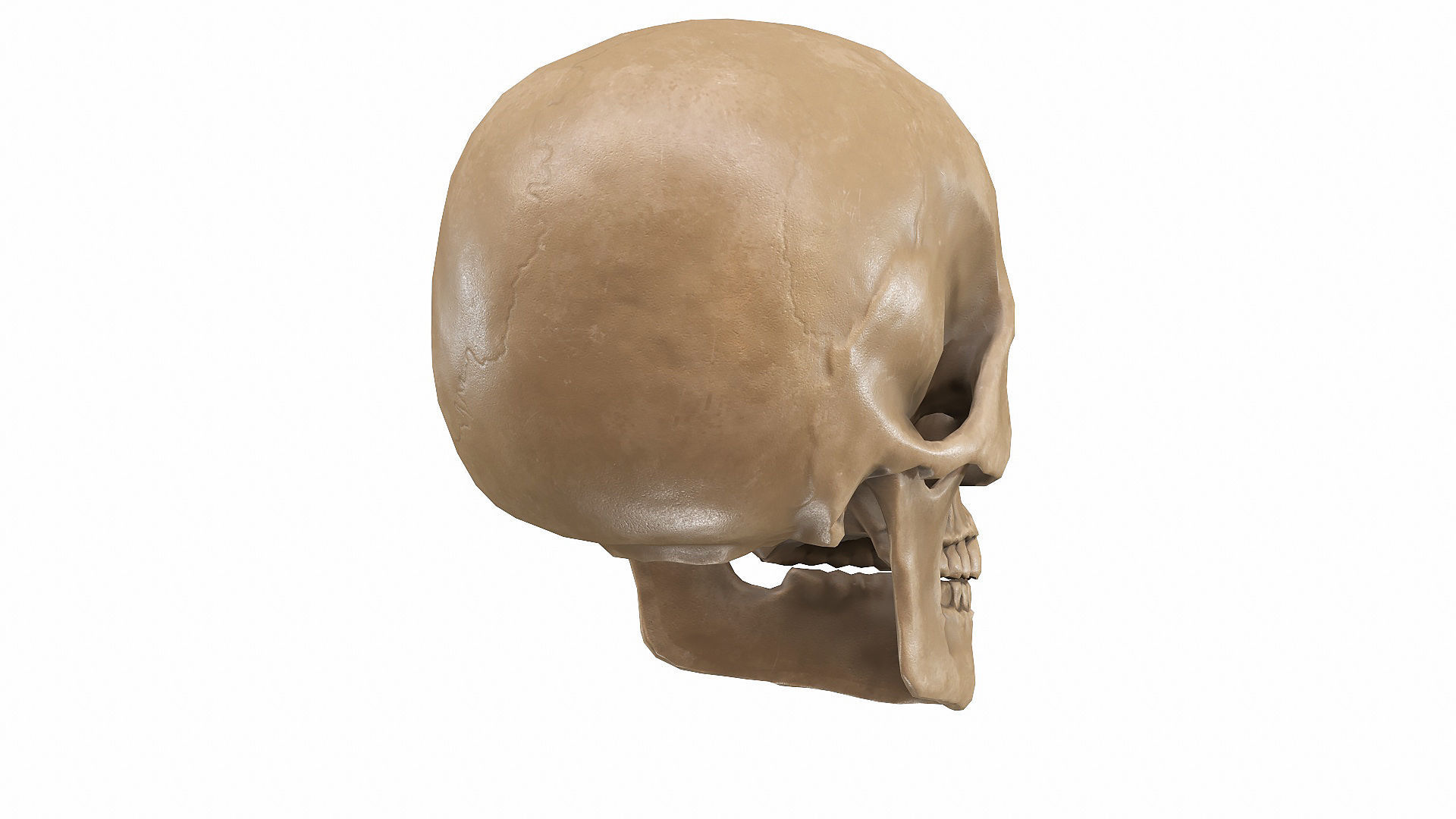 Skull LOW-POLY metal Low-poly 3D model_72