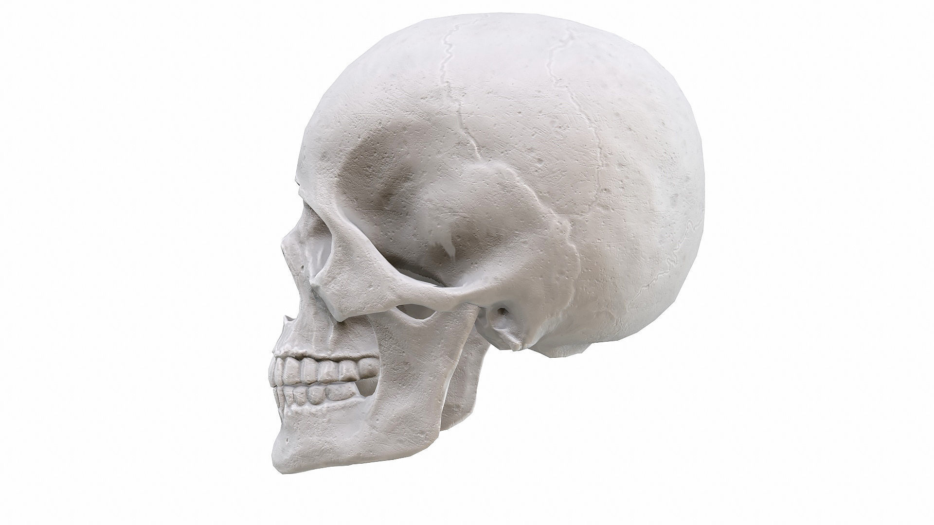 Skull LOW-POLY metal Low-poly 3D model_56