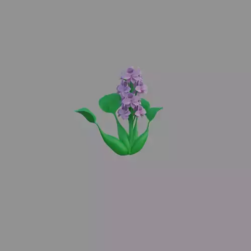 Photoreal Water Hyacinth