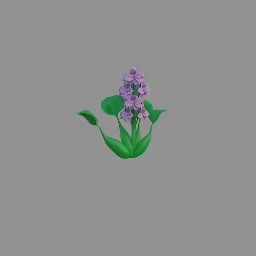 Photoreal Water Hyacinth Free 3D model