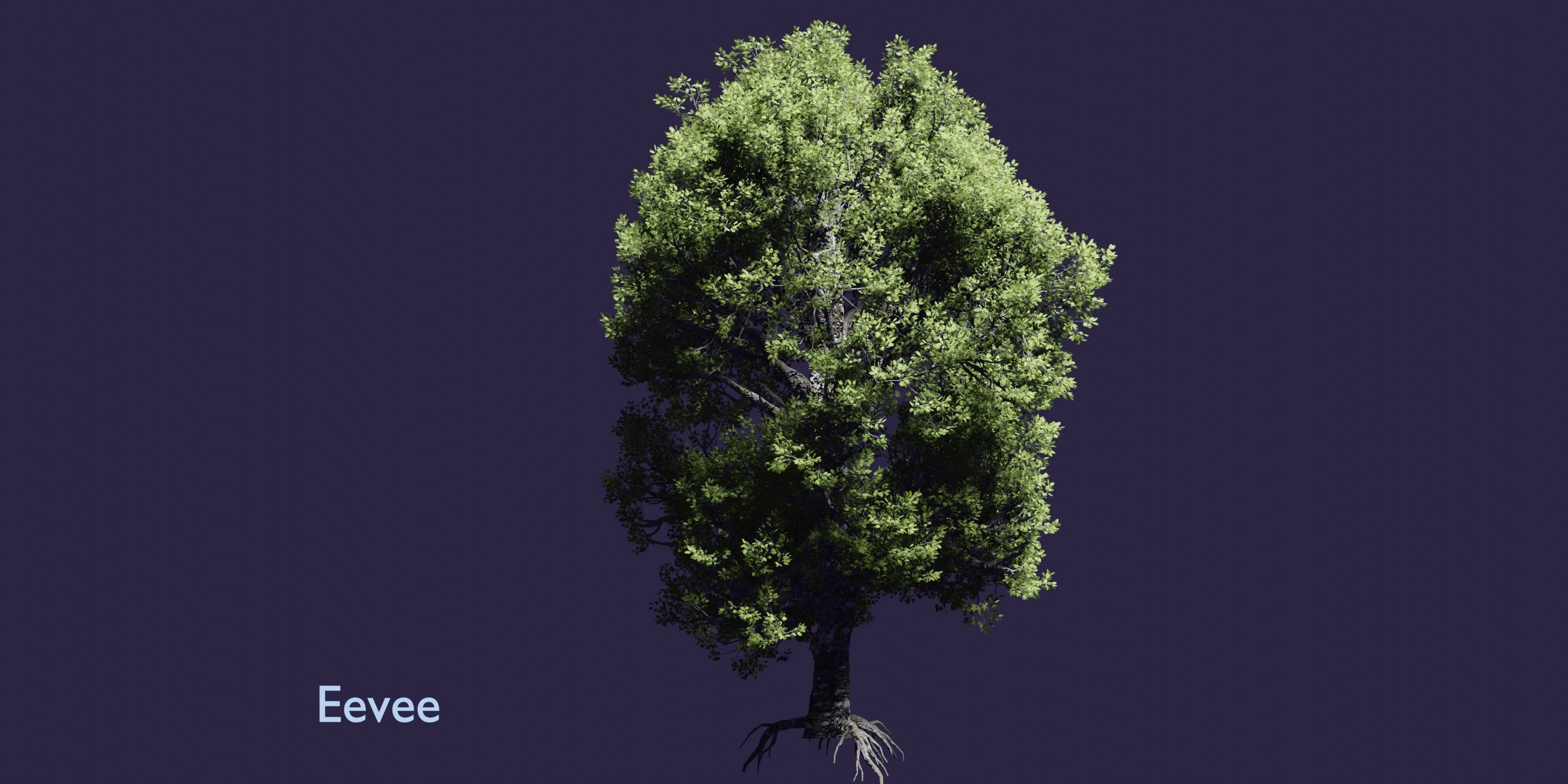 Aspen Tree Ver 0-0-2in1 3D model_14