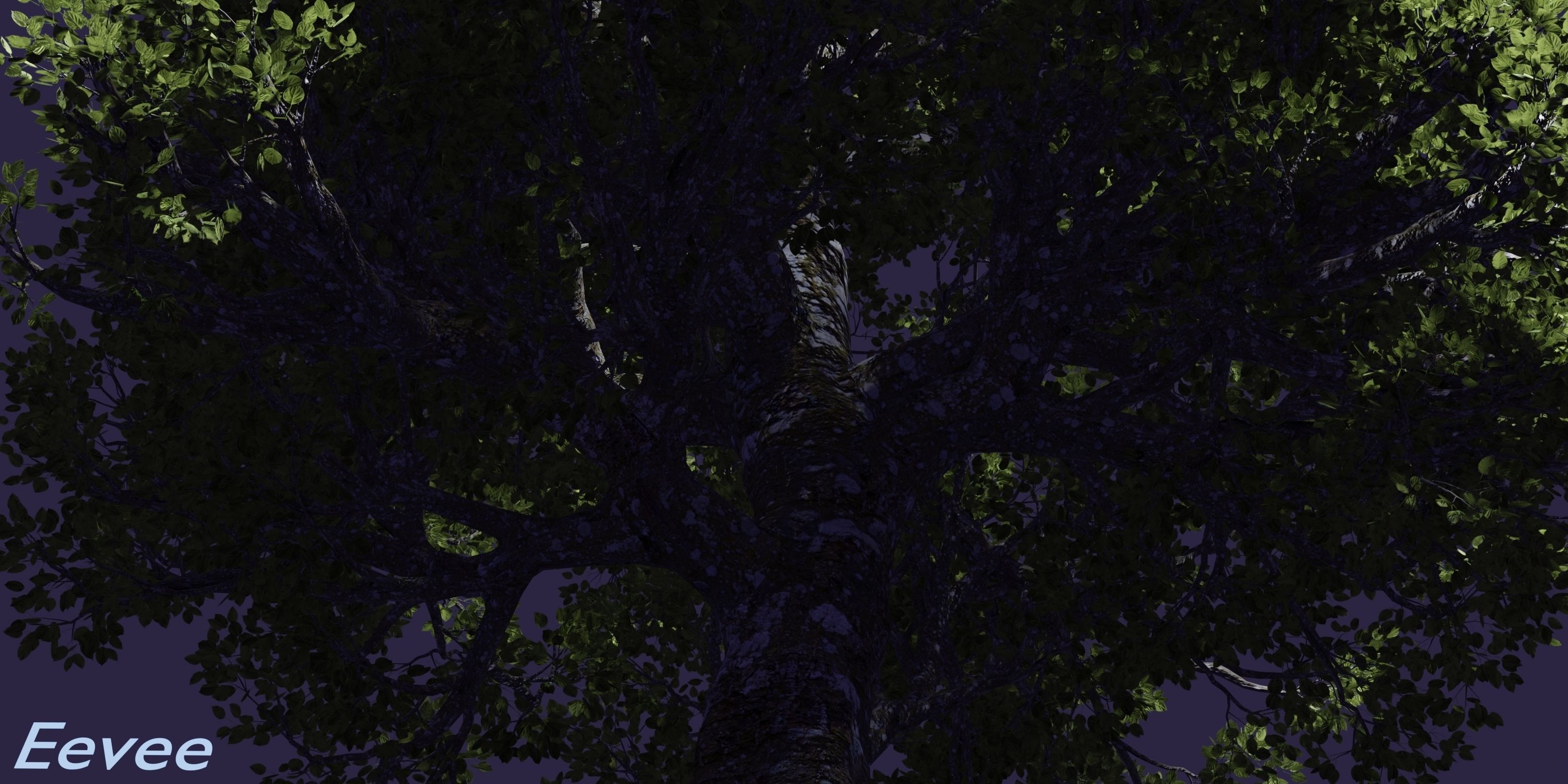 Aspen Tree Ver 0-0-2in1 3D model_15