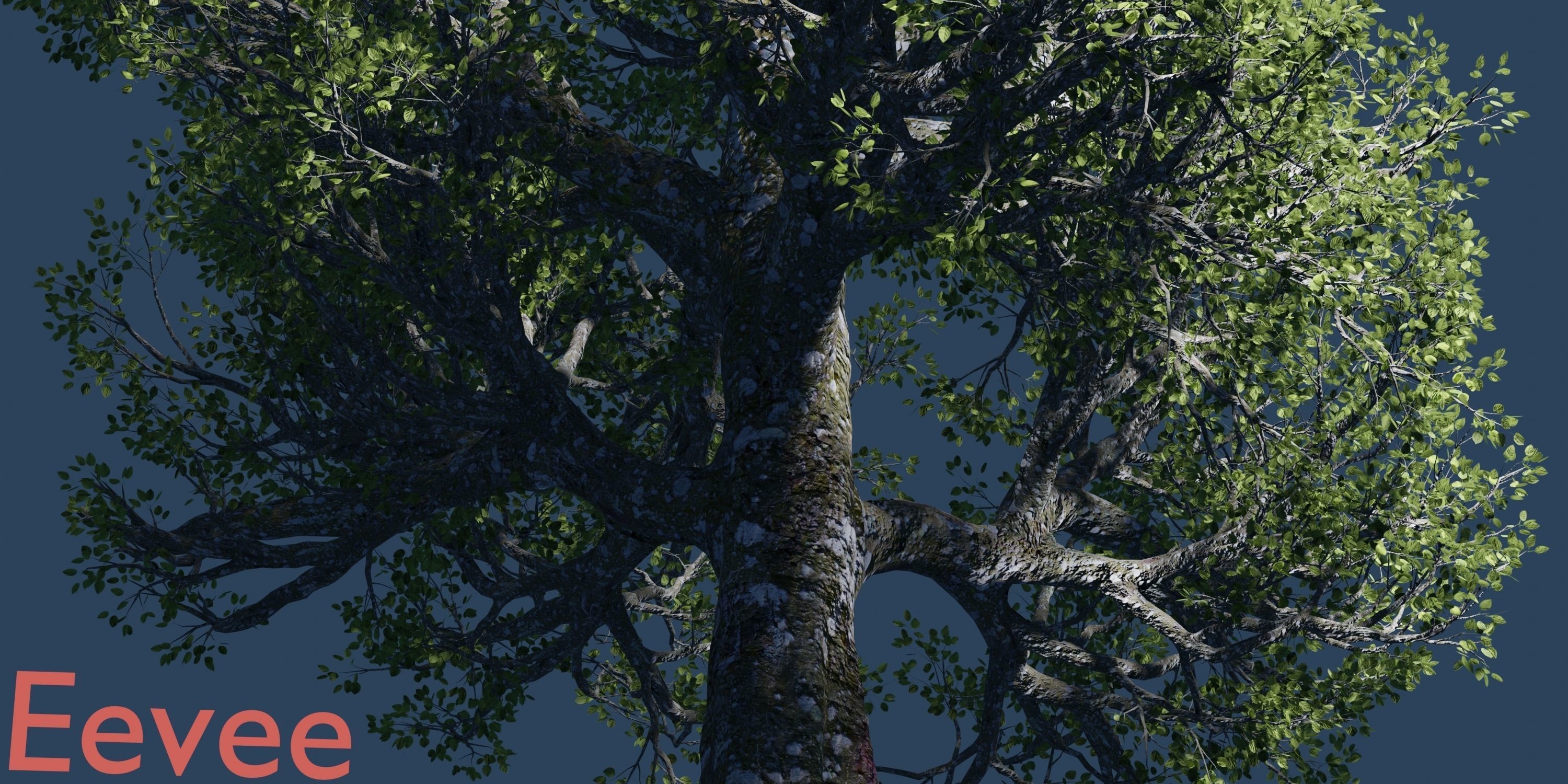 Aspen Tree Ver 0-0-2in1 3D model_12