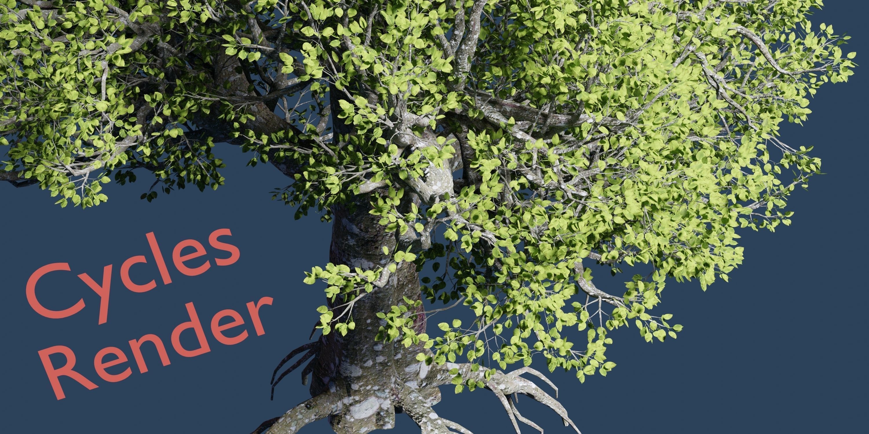 Aspen Tree Ver 0-0-2in1 3D model_11
