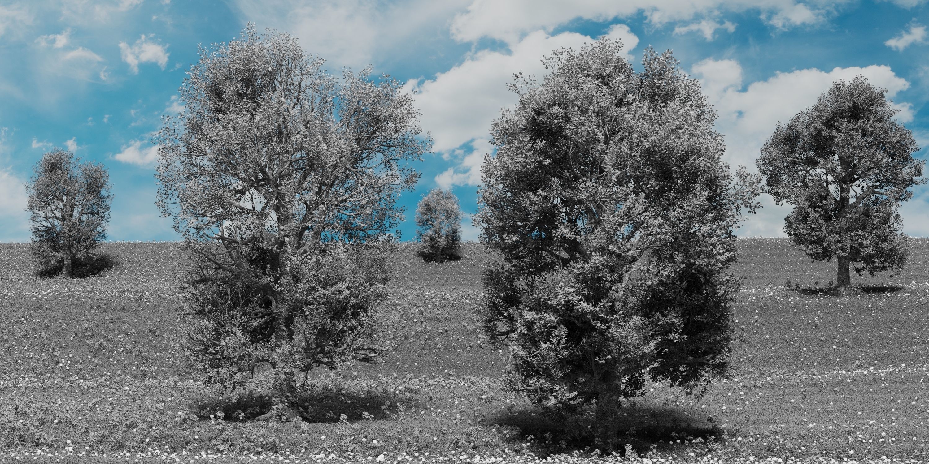 Aspen Tree Ver 0-0-2in1 3D model_8