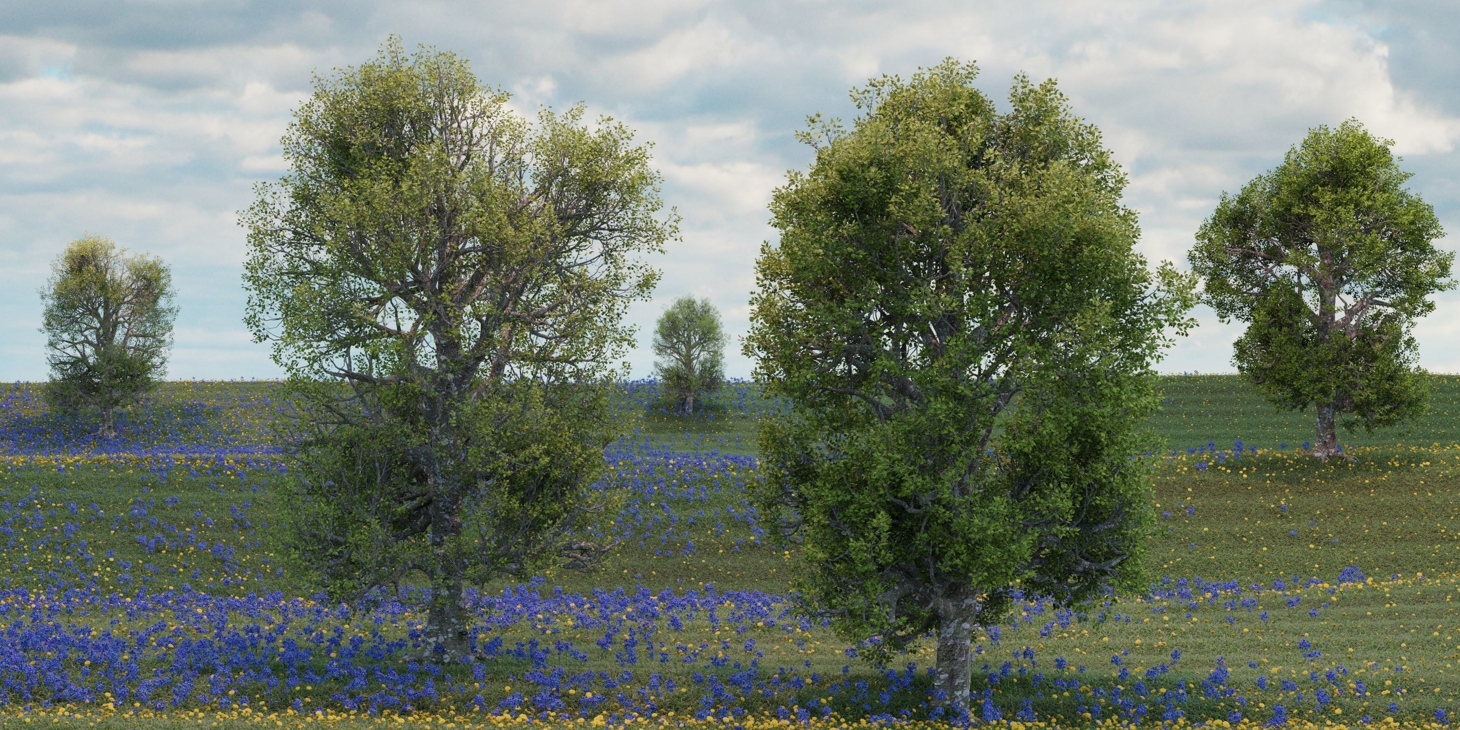 Aspen Tree Ver 0-0-2in1 3D model_5