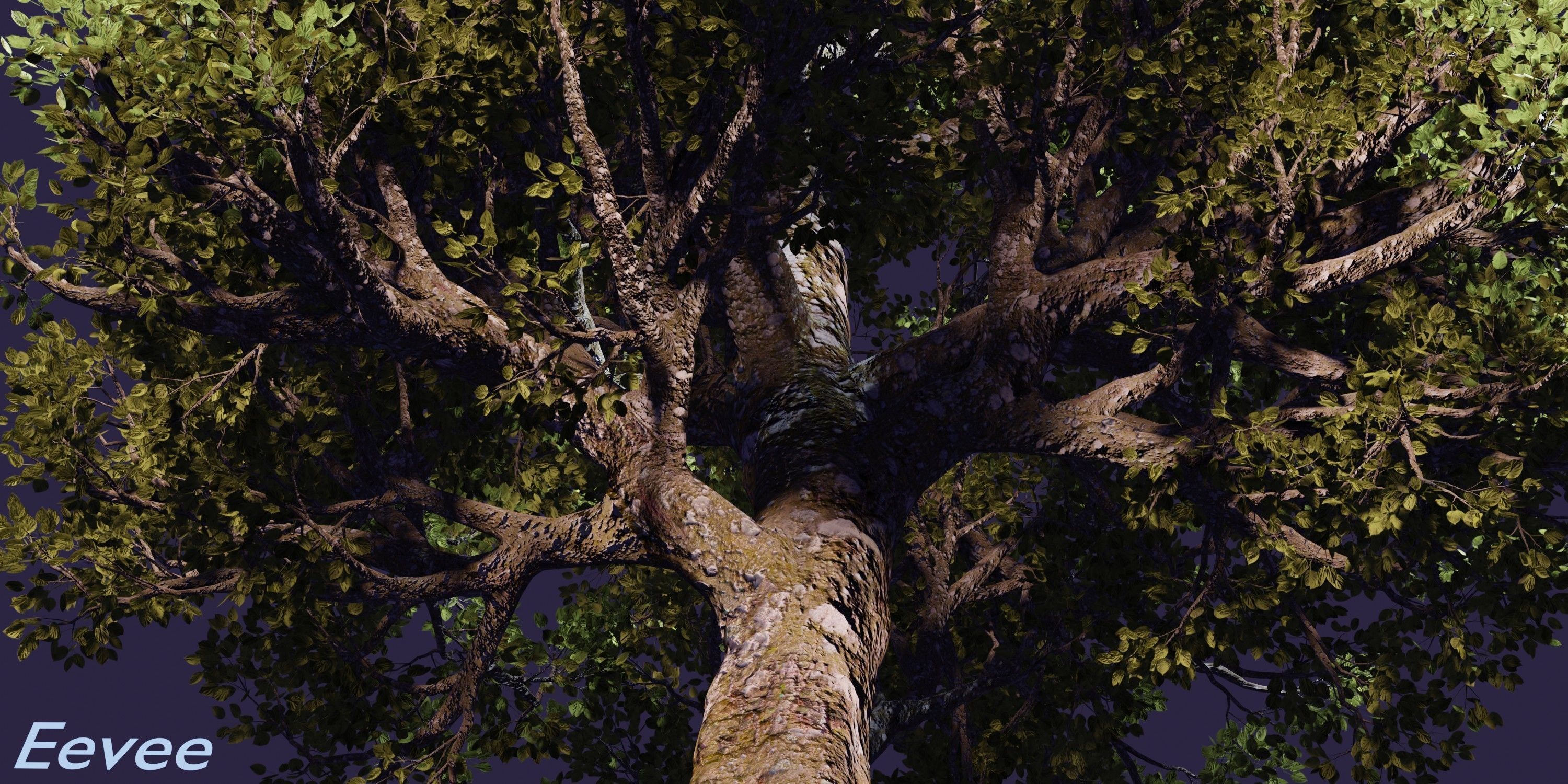 Aspen Tree Ver 0-0-2in1 3D model_17