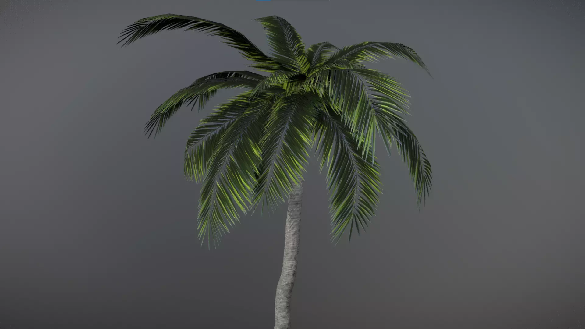 Tropical Palm Free 3D model