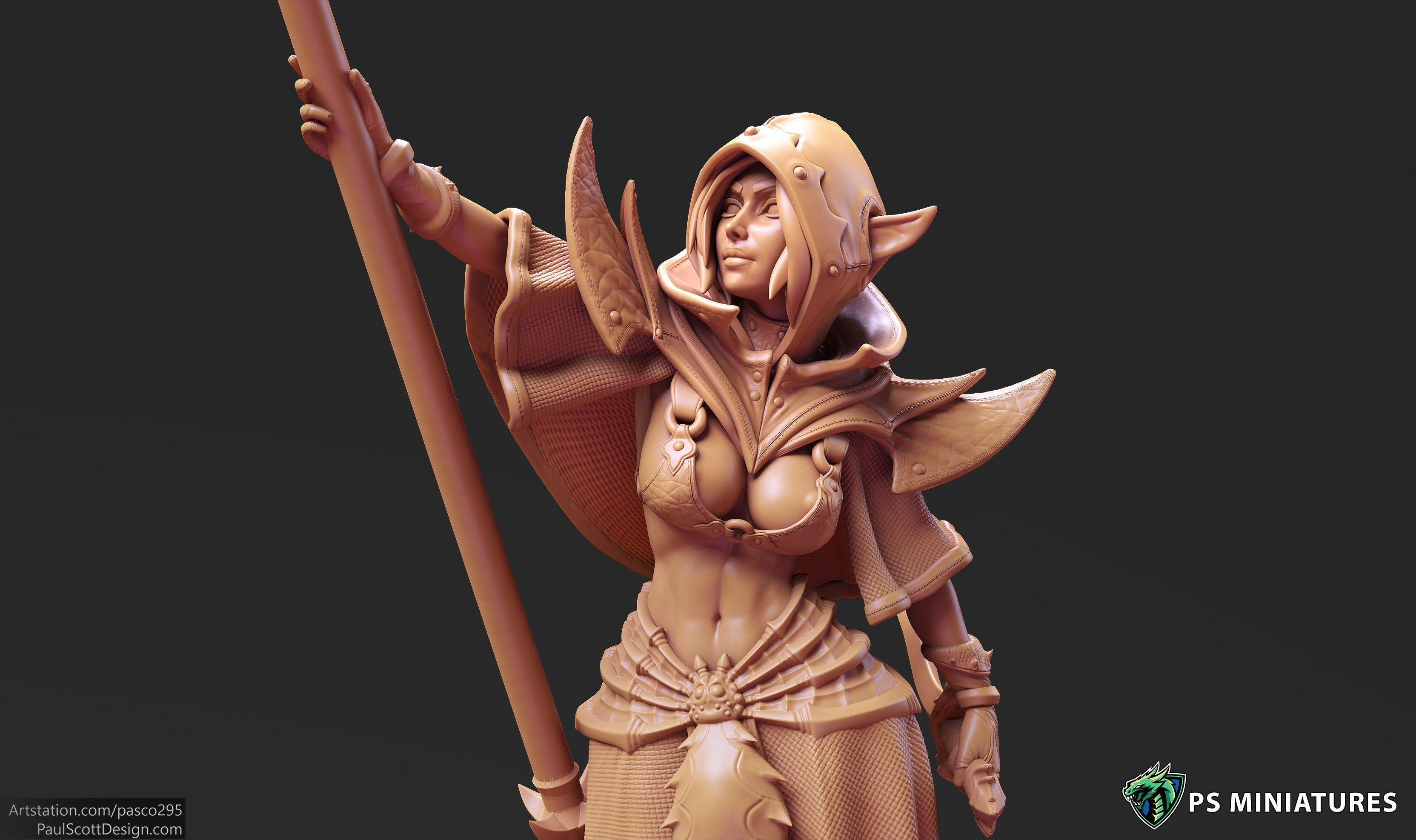 Drow Cleric Pose 3 - 4 Variants and Pinup  3D print model_5