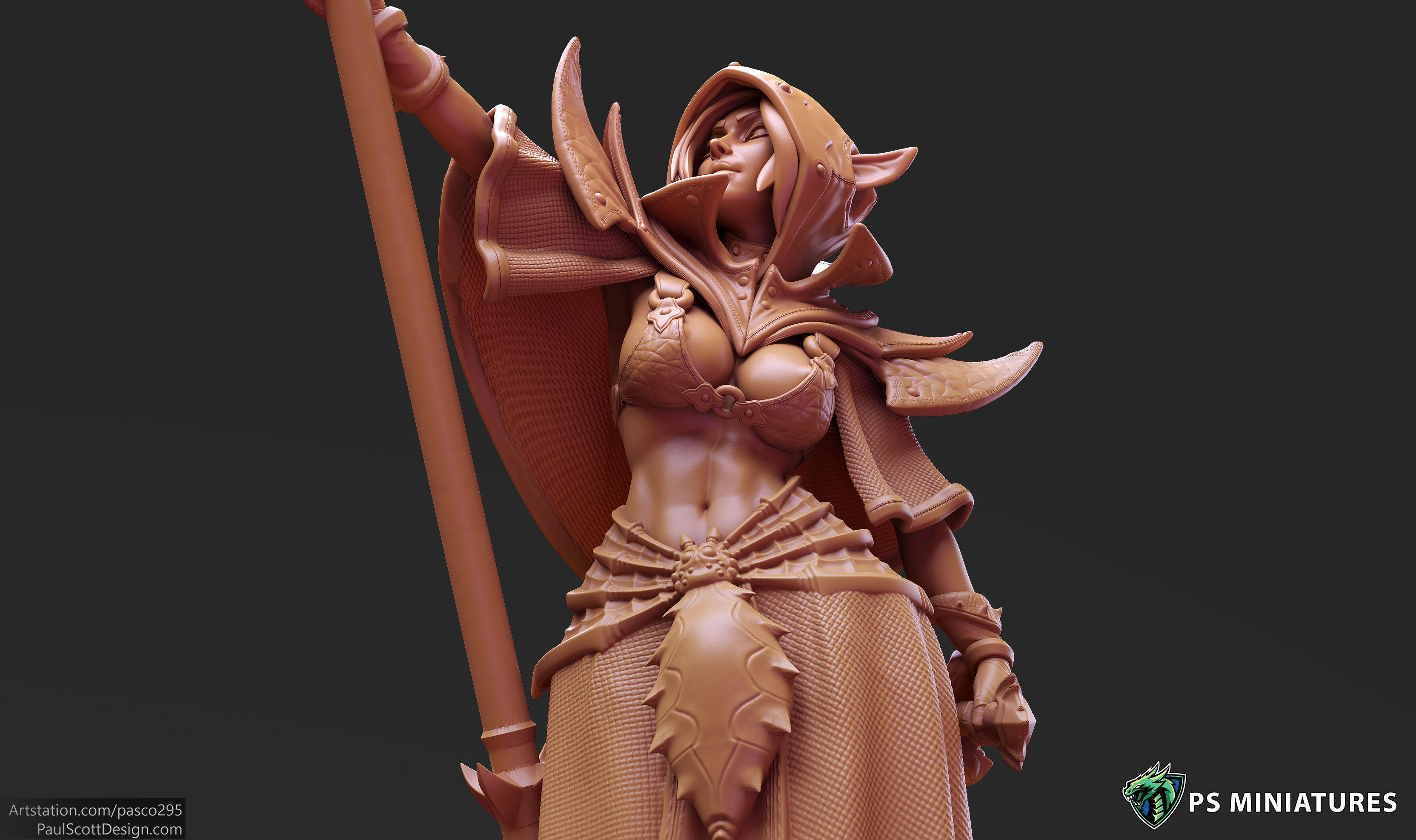 Drow Cleric Pose 3 - 4 Variants and Pinup  3D print model_7