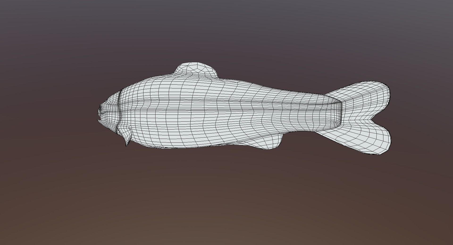 Troat - Oncorhynchus mykiss Low-poly 3D model_3