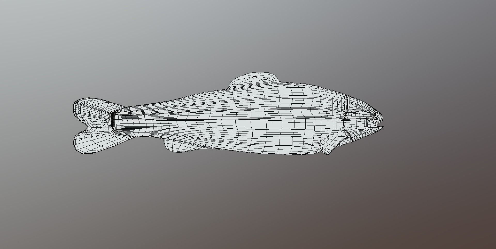 Troat - Oncorhynchus mykiss Low-poly 3D model_5