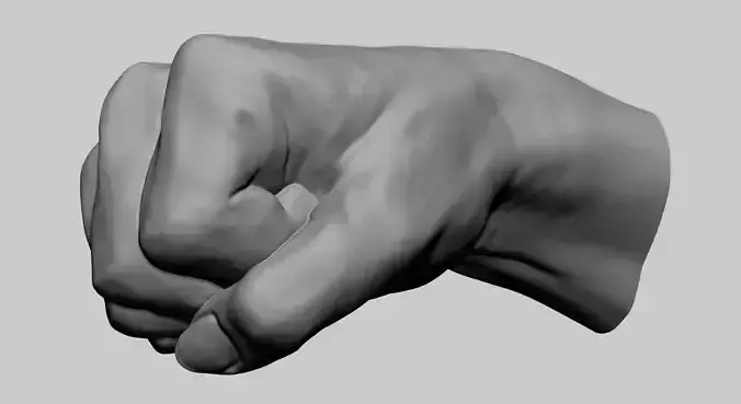 Fist Printable 3D print model
