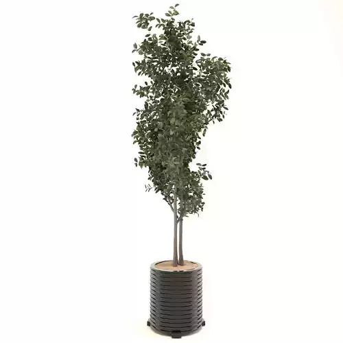 decoration flower-02 Low-poly 3D model