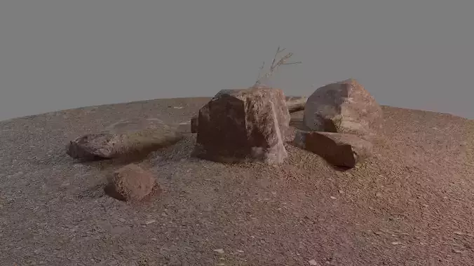 Rock and old tree on ground
