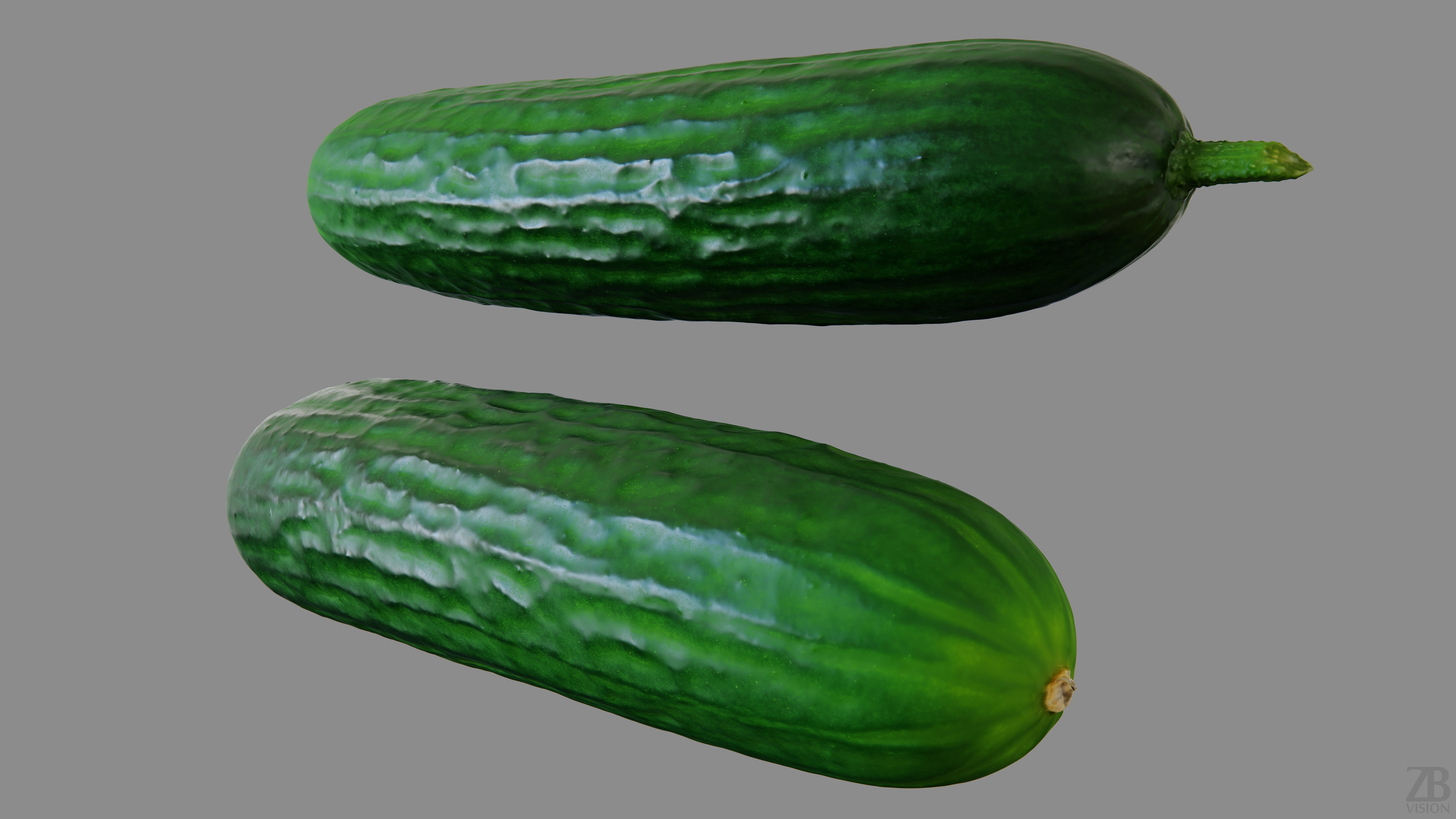 Cucumber 3D model_9