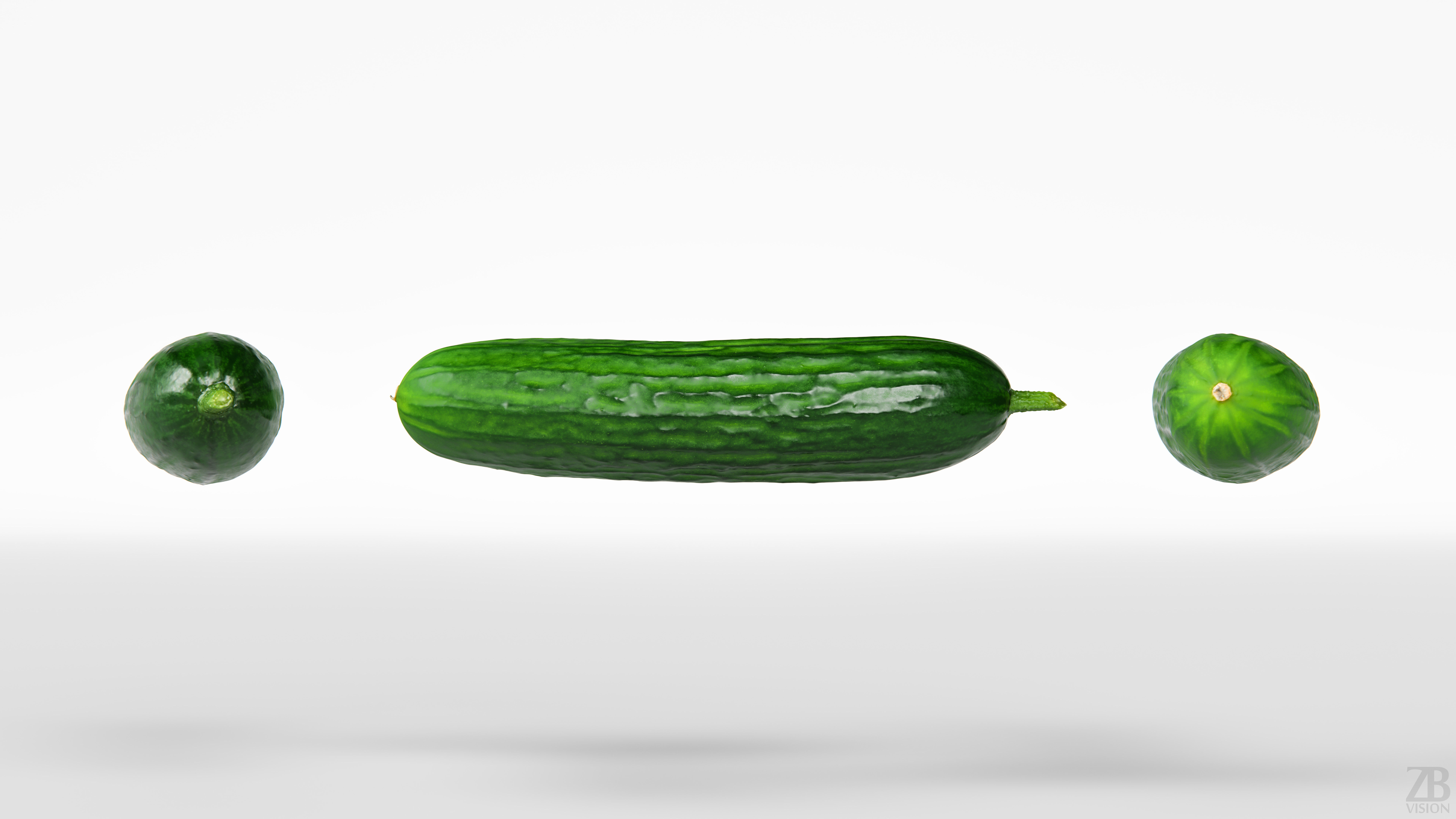 Cucumber 3D model_4