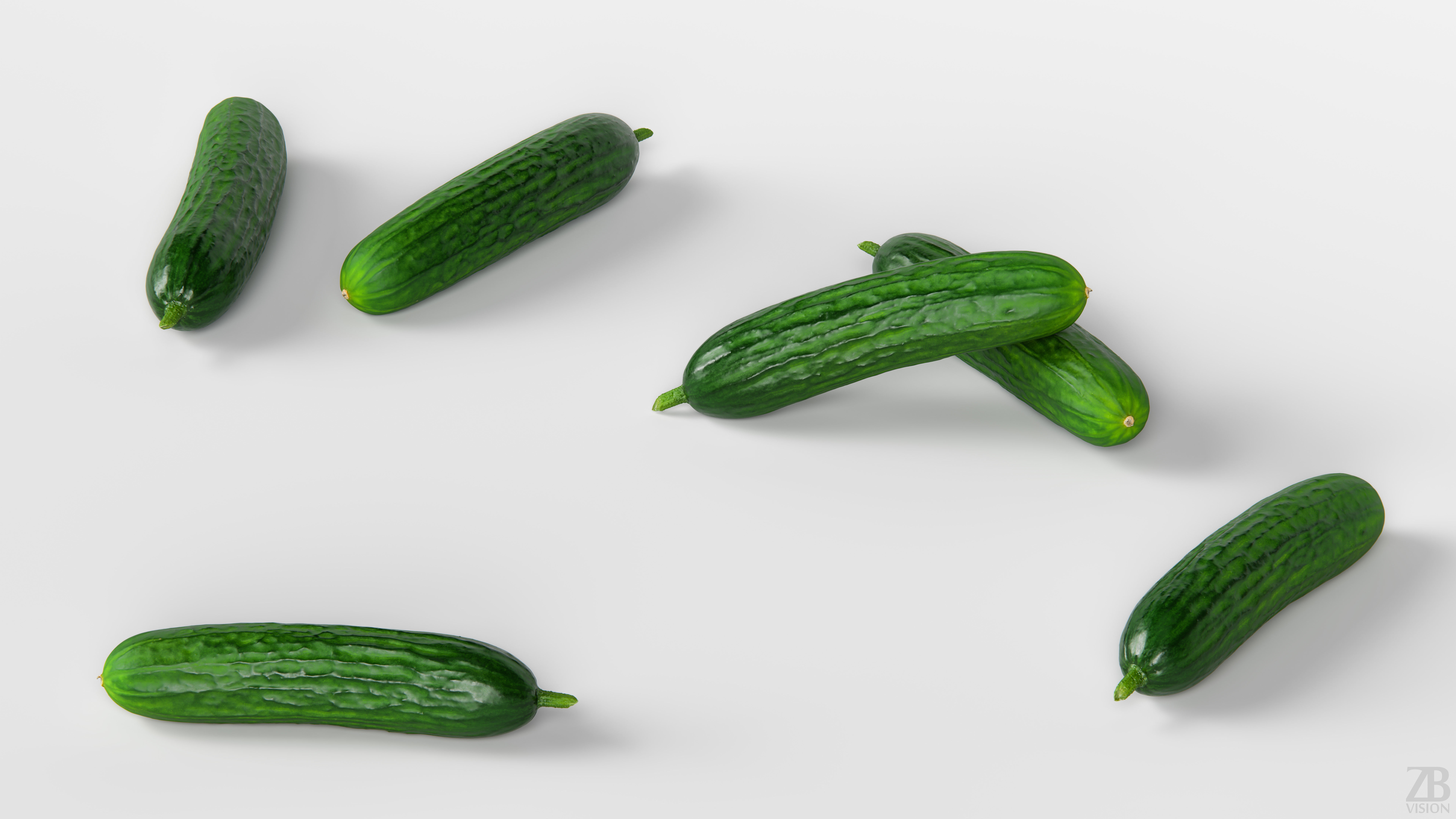 Cucumber 3D model_2